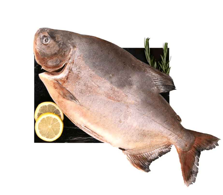 Pescado