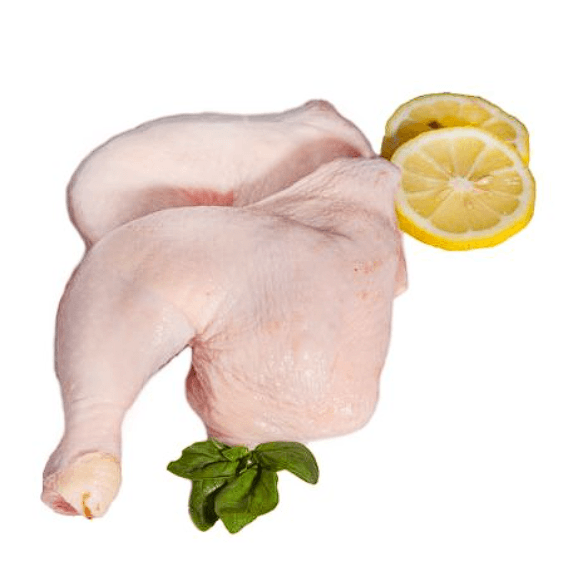 Pollo